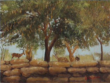 벤구리온 공원 / Ben-Gurion Park 2