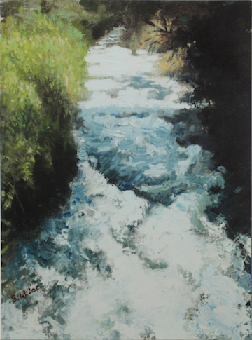 텔단강 Tel Dan River